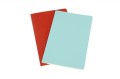 380359-396350-zestaw_2_zeszytow_moleskine_volant_l_13x21cm-800w.jpg